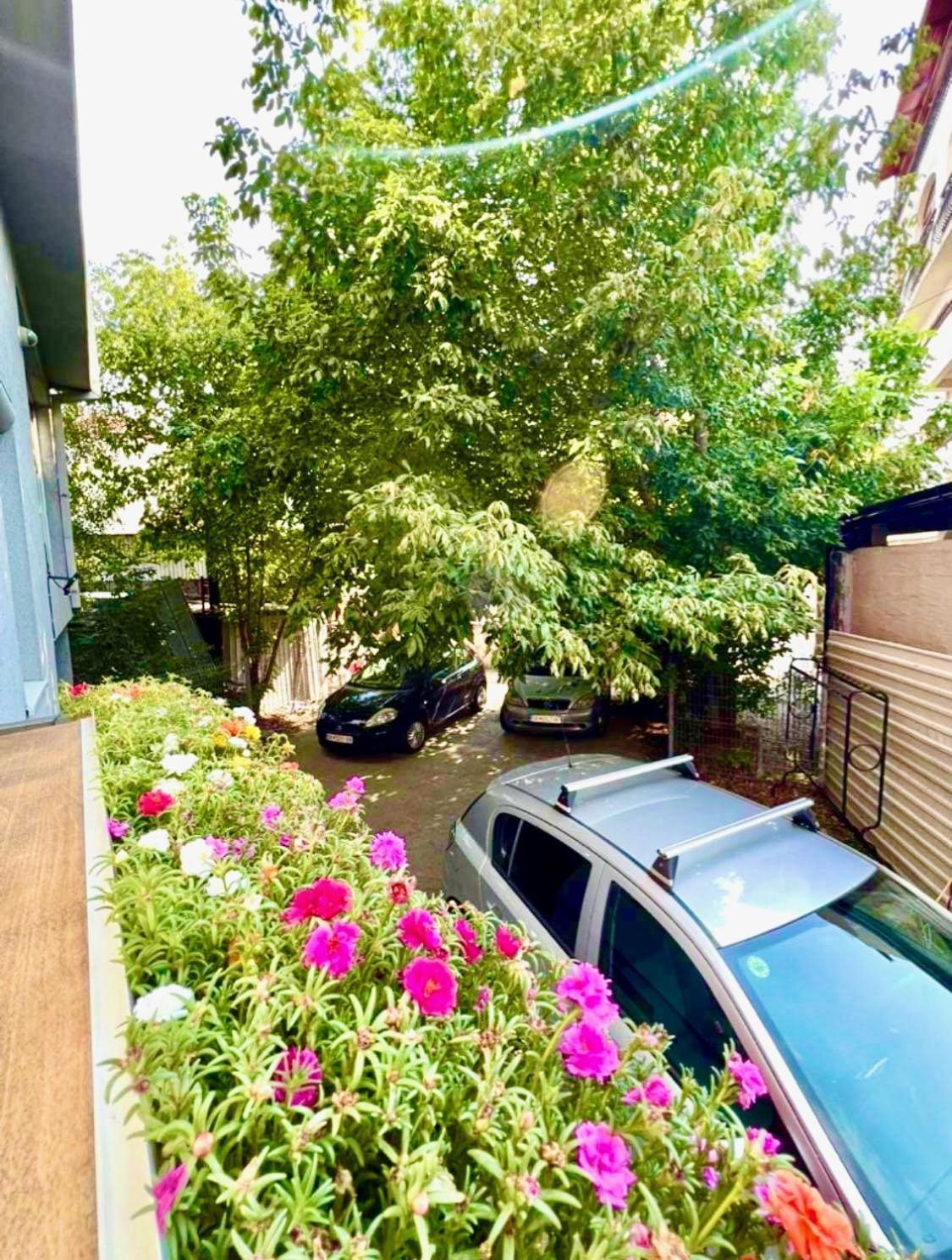 Lifestyle Gallery Apartment 스코페 외부 사진